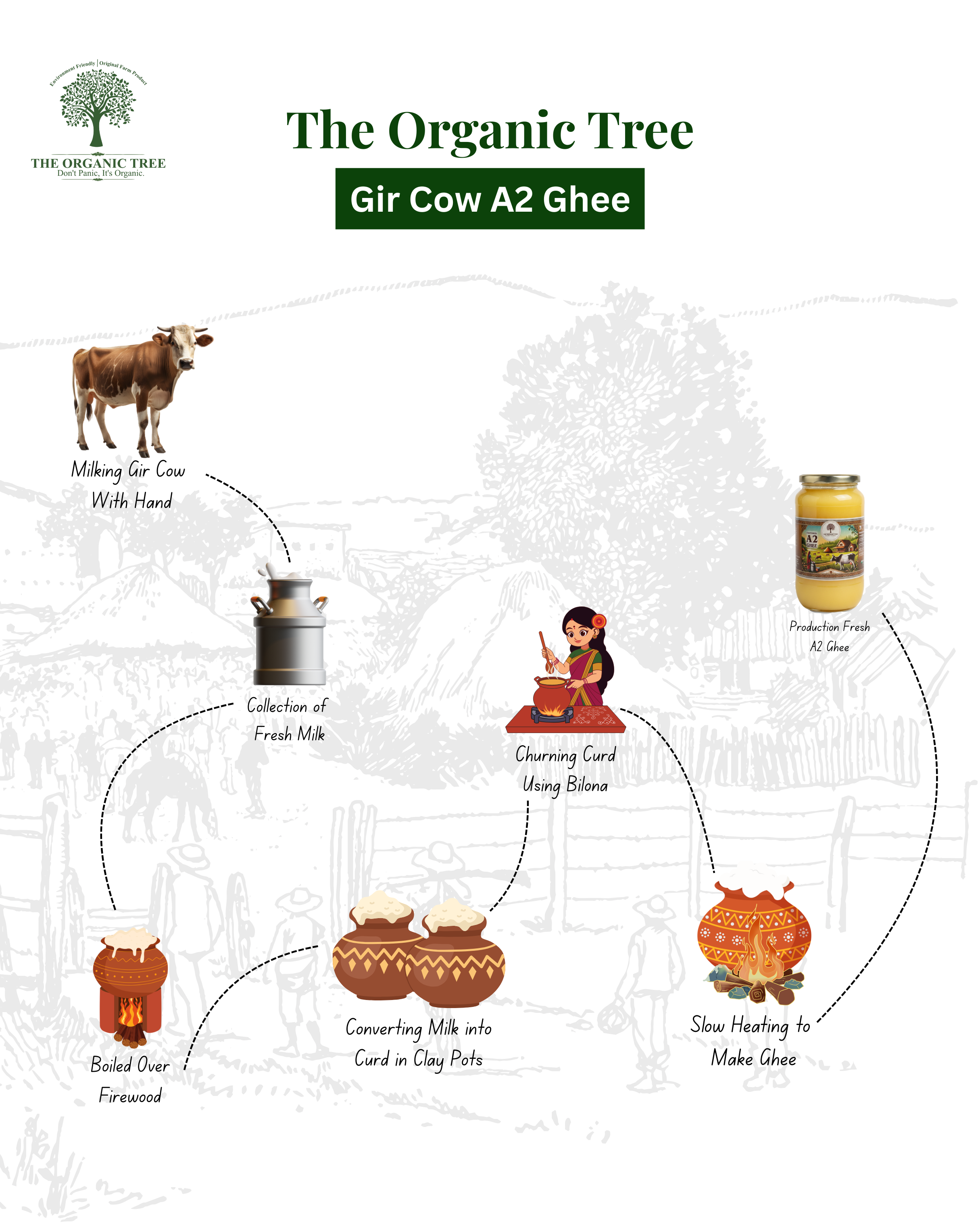 Cultured A2 Ghee (Made from Curd) – 500 ml | The Organic Tree