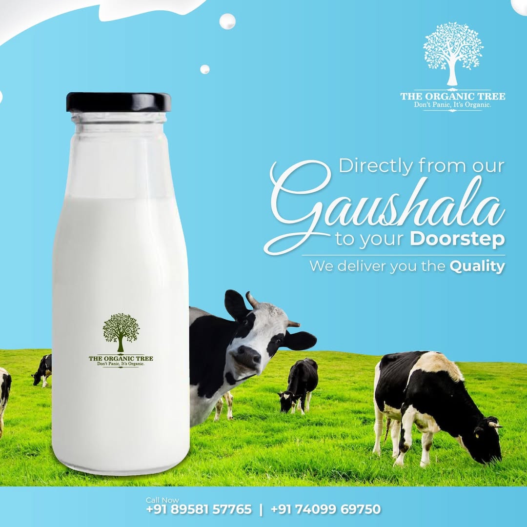 A2 Pure Cow Milk (1 Liter)