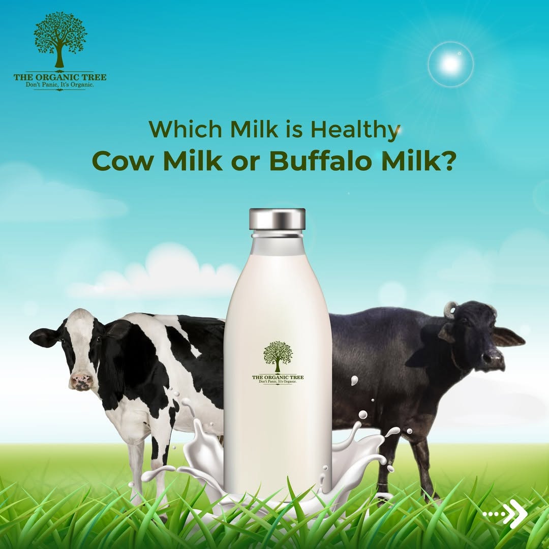 A2 Pure Cow Milk (1 Liter)