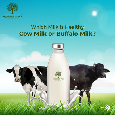 A2 Pure Cow Milk (1 Liter)