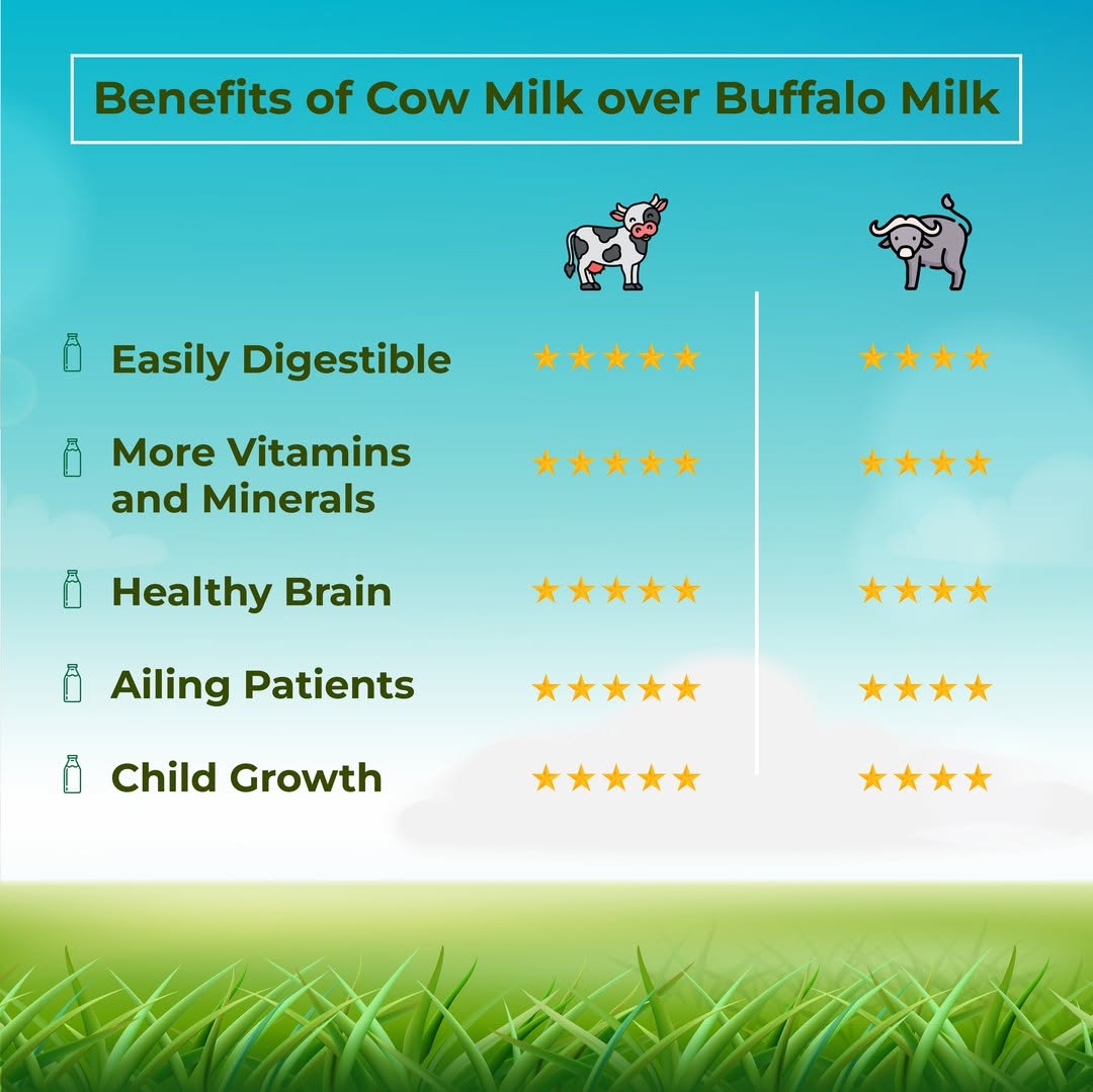 A2 Pure Cow Milk (1 Liter)