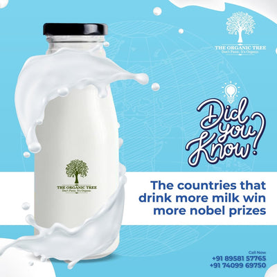 A2 Pure Cow Milk (1 Liter)